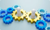 Cardinality Latest News