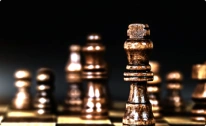 Cardinality Latest News